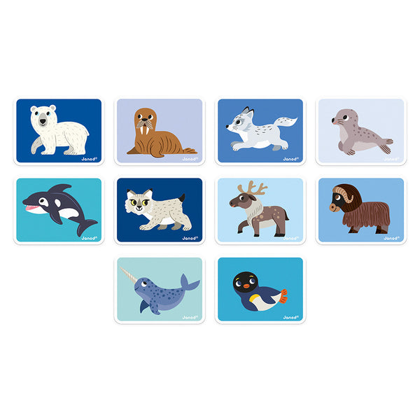 Magneti'book - Polar Animals