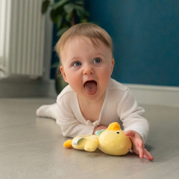 Plush Duck Baby Rattle