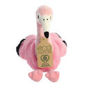 Flamingo  - Eco Nation