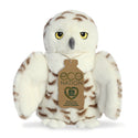 Snowy Owl - Eco Nation