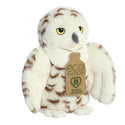Snowy Owl - Eco Nation