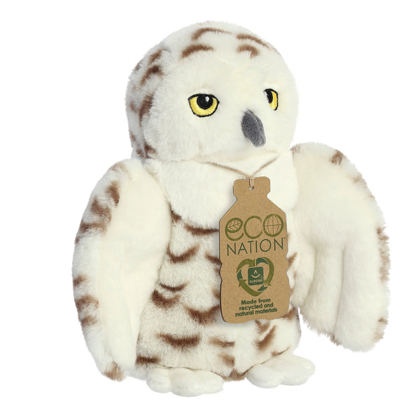 Snowy Owl - Eco Nation