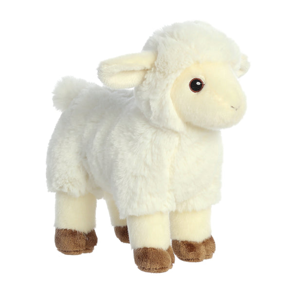 Lamb - Eco Nation