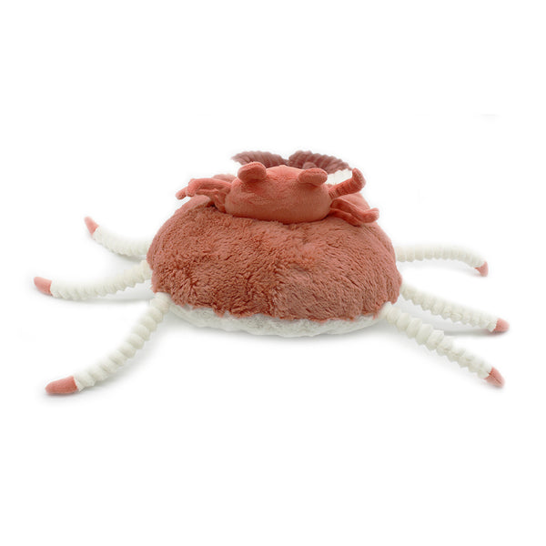 Crab & Baby (Les Ptipotos)