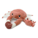 Crab & Baby (Les Ptipotos)