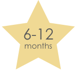6 - 12 Months
