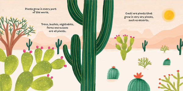 Plant Fun: Clever Cacti