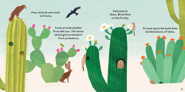 Plant Fun: Clever Cacti