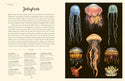 Oceanarium - Junior Edition