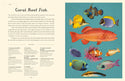 Oceanarium - Junior Edition