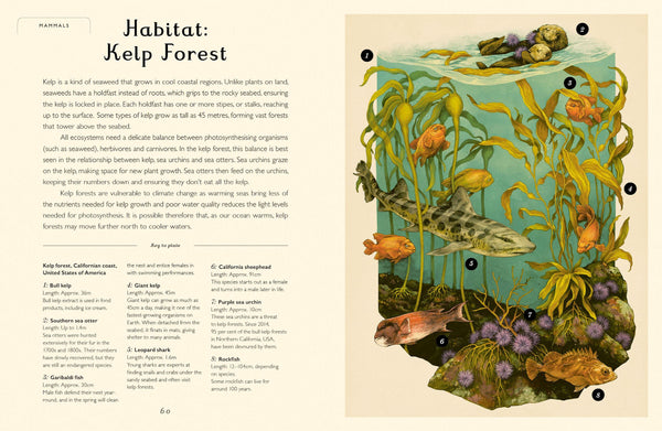 Oceanarium - Junior Edition