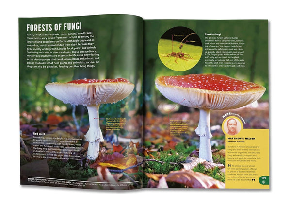 Britannica All New Children's Encyclopedia