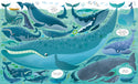 Under the Sea: Usborne Book & Jigsaw Set (300 pieces)