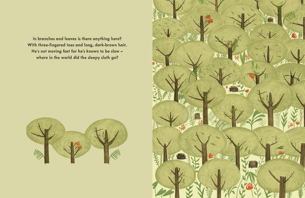 Where Did They Go? : A Search & Find Book
