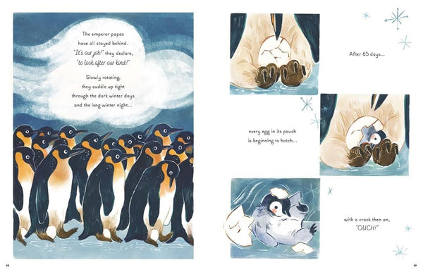 5 Minute Ocean Stories (Hardback)