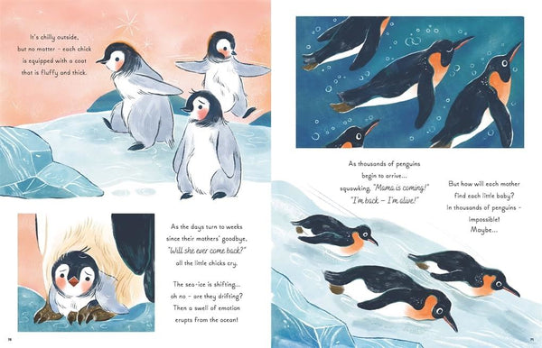 5 Minute Ocean Stories (Hardback)