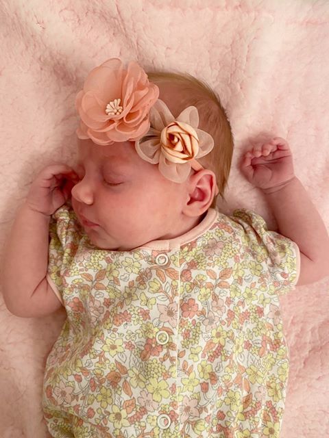 Baby Pink Roses Hairbow Set