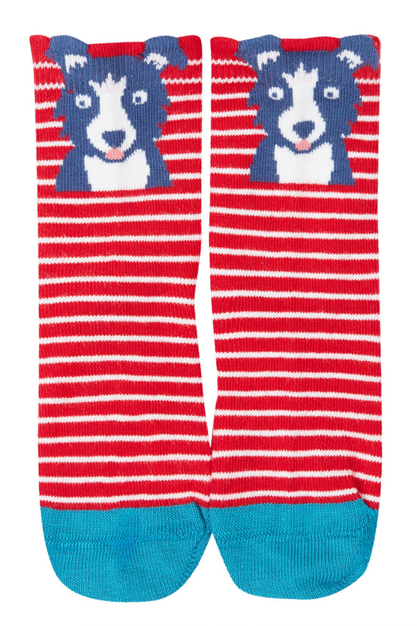 Little Socks 3 pack, Farm Multipack