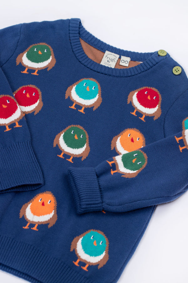 Jolly Knitted Jumper, Navy/Rainbow Robins