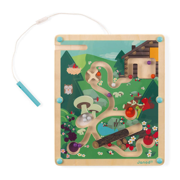 Forest Maze Magnetic Game