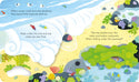 Peep Inside the Seashore