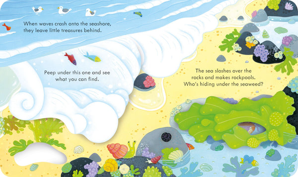 Peep Inside the Seashore