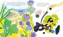 Peep Inside the Seashore
