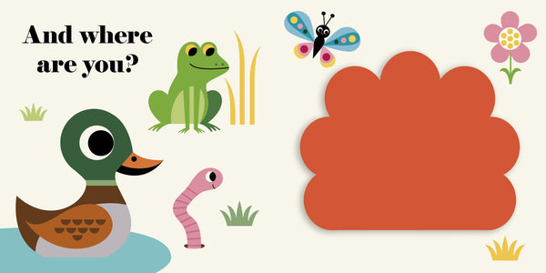 Where's Mr Duck - Buggy Book