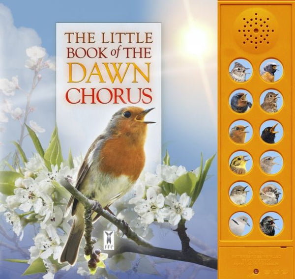 The Dawn Chorus