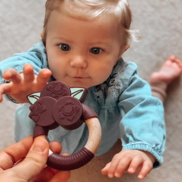 Acai Berry Superfoods Teething Toy
