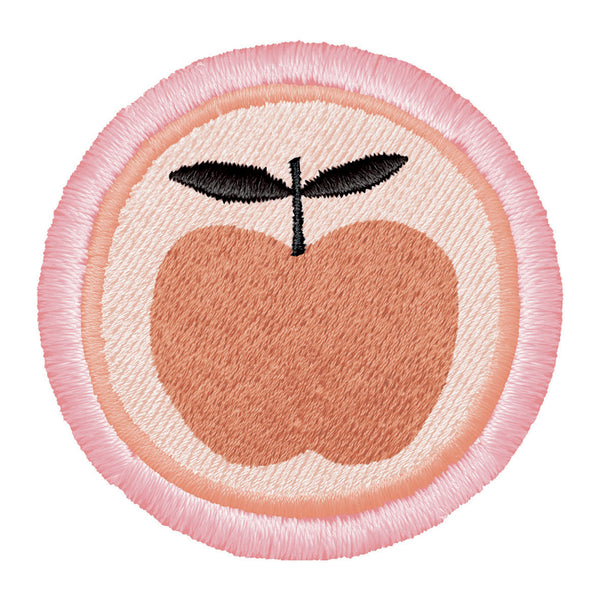 Apple Pencil Case