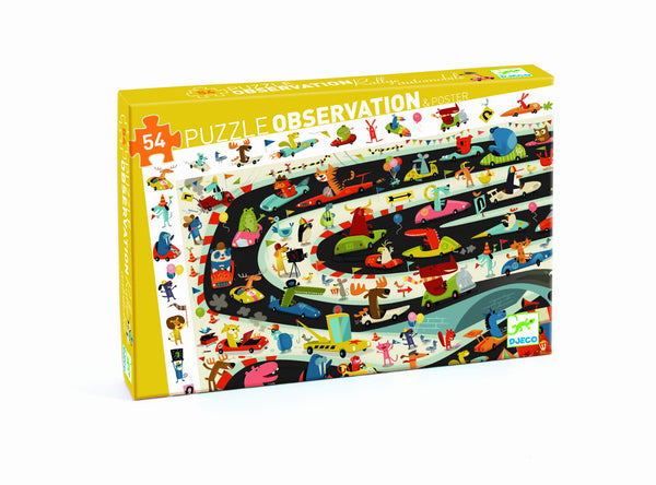Car Rally - Observation Puzzle